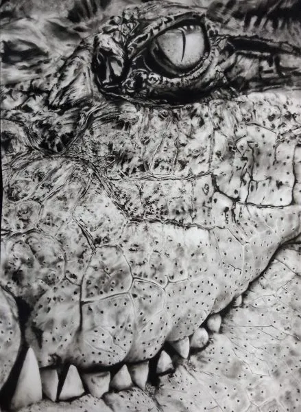 Crocodile de Richard Lubert