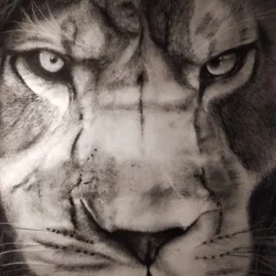 Lion de Richard Lubert