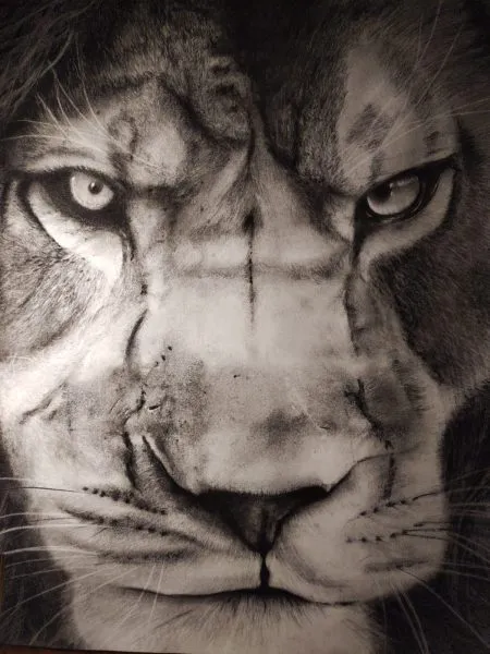 Lion de Richard Lubert