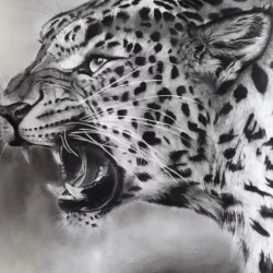 Léopard de Richard Lubert