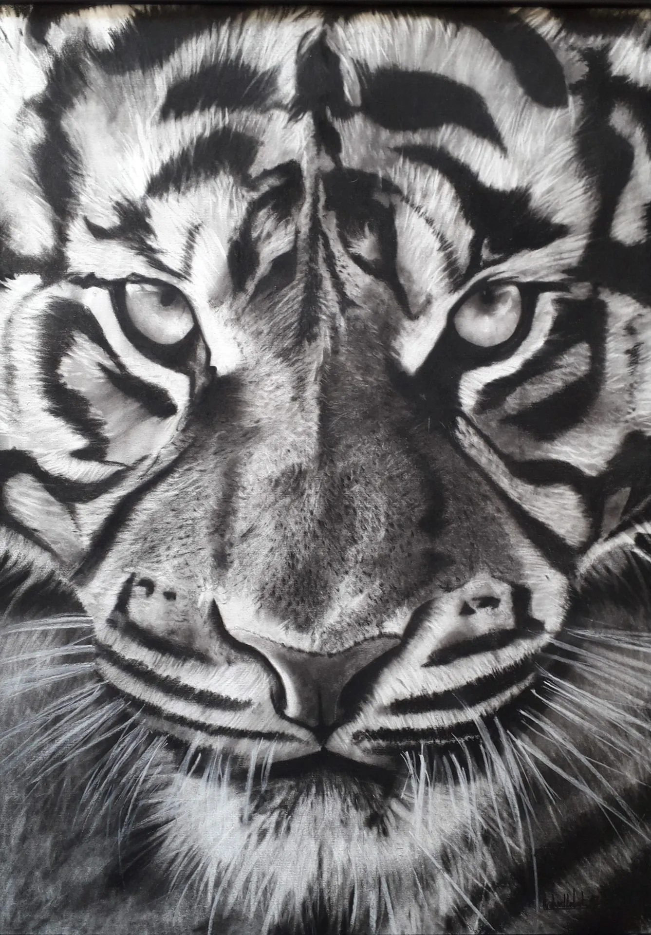 Tigre de Richard Lubert