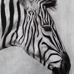 Zèbre de Richard Lubert