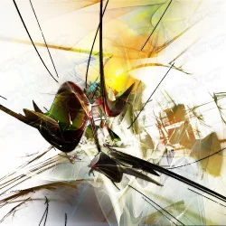 Crash de Christian Chaufheid